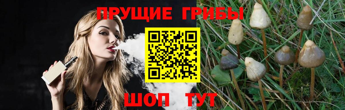 Ростов Великий  Галлюциногенные грибы MAGIC MUSHROOMS  Псилоцибиновые грибы GOLDEN TEACHER  Вход с VPN 